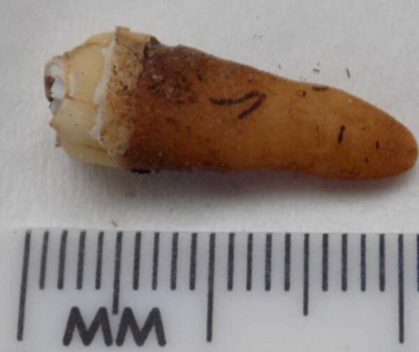 d7abcc5e4b7e753789ed1c6680c15d12