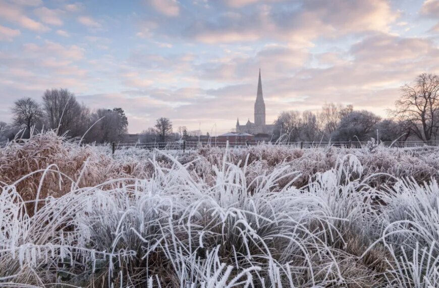 Зимний пейзаж с травой в инее и собором на фоне на рассвете.