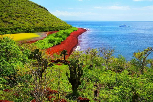 de94b6c1b9b85ec569a3b14ecc544d31