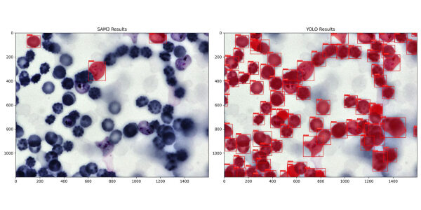 e4c99a4eb40c2683ce63e1b376c72a4d