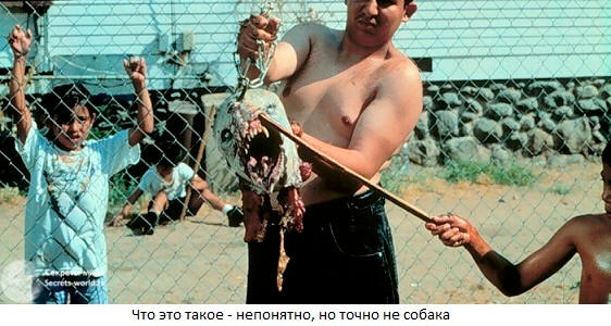 Все о чупакабре Все о чупакабре