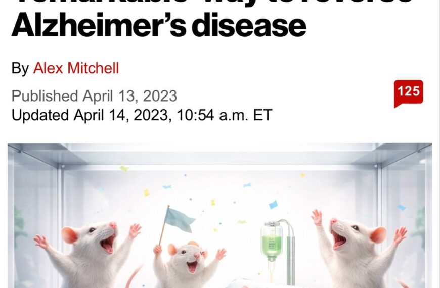 Ученые из MIT находят способ обратить вспять болезнь Альцгеймера, эксперимент на мышах.