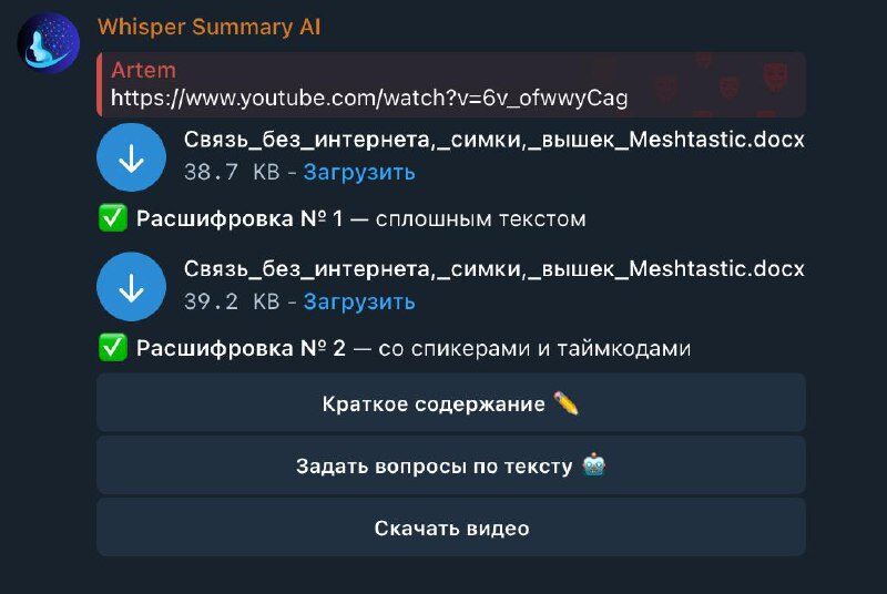 Скриншот чата с ссылкой на YouTube и загрузкой файлов с расшифровками текста.