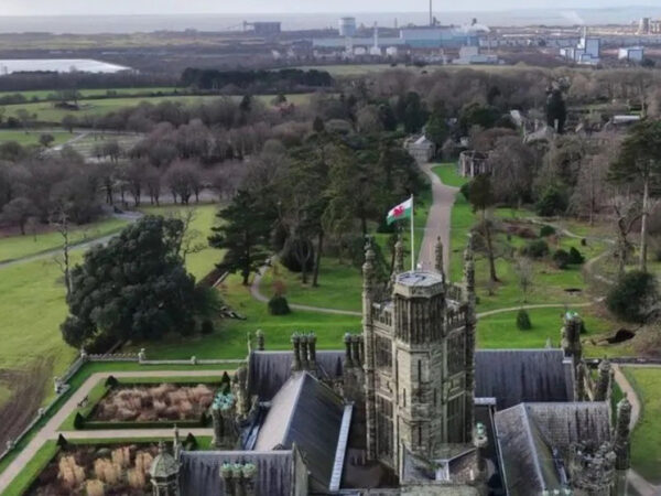 Вид на старинный замок с флагом на фоне парка и горизонта.