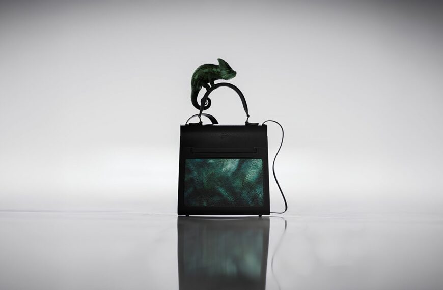 Черная сумка с зеленым хамелеоном сверху, серый фон.