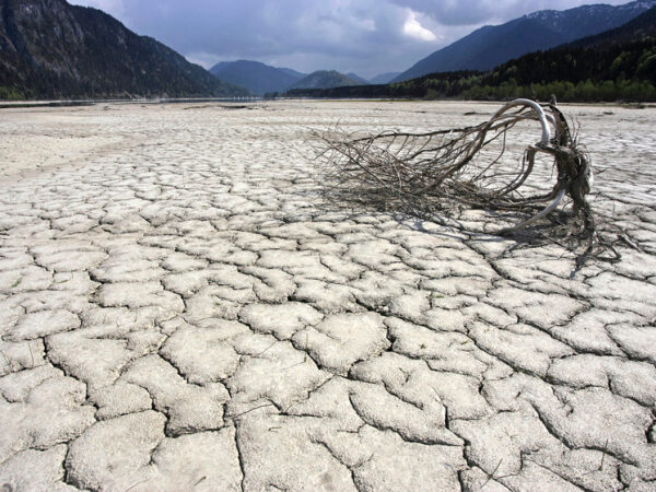 Сухая растрескавшаяся земля с упавшим деревом на фоне гор и облаков.