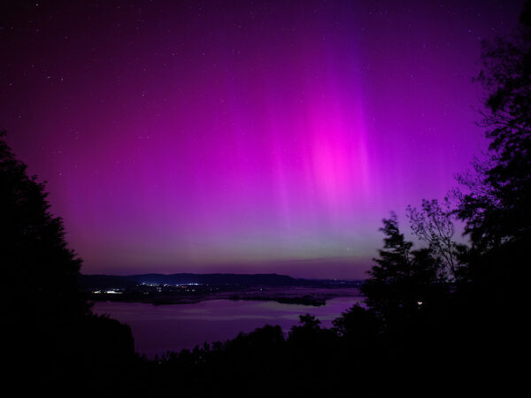 Северное сияние над лесом и рекой, розово-фиолетовые оттенки в ночном небе.