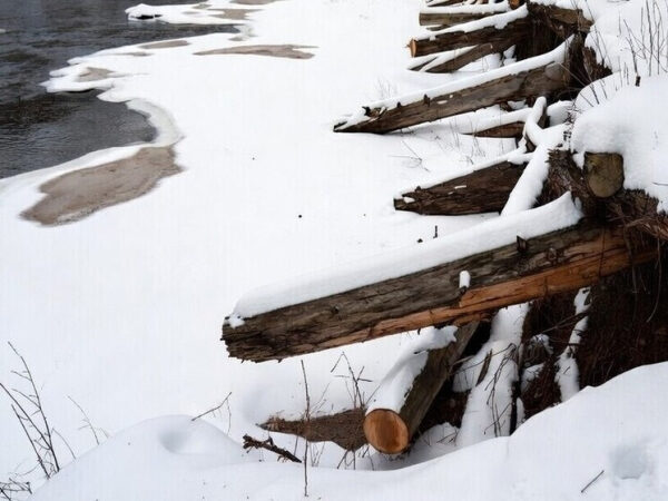 Заснеженные брёвна на берегу зимней реки с льдом.