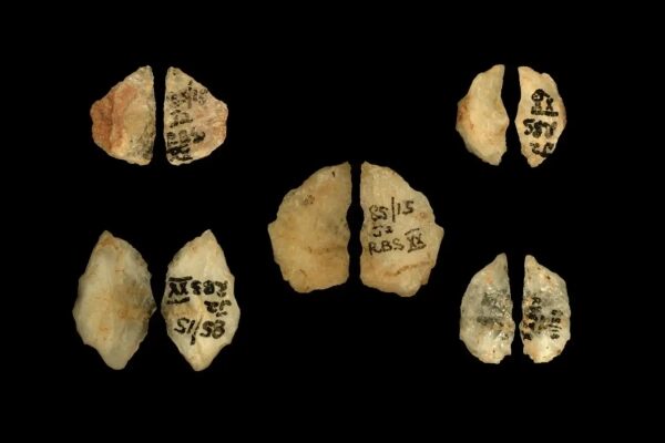 Крупный план пяти микролитов с кварцевой подложкой из скального убежища Умхлатузана, содержащих алкалоидные токсины буфандрина и эпибуфанизина.