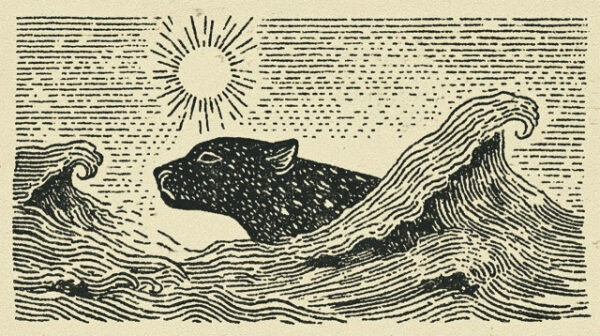 Гравюра с изображением ягуара в волнах под солнцем, черно-белая иллюстрация.