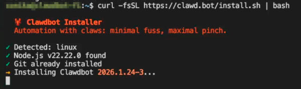 Clawdbot - Moltbot - OpenClaw - магия: честный гайд по приручению AI-ассистента 7 09-moltbot-install.jpg