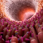 Микробиом кишечника: бактерии и ворсинки, вид внутри пищеварительной системы.