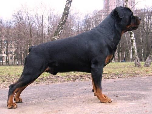 1b89553c6428df719f74617231003817