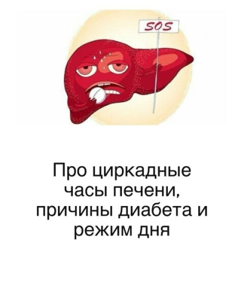 Смешная печень с флагом SOS, циркадные часы, диабет и режим дня.