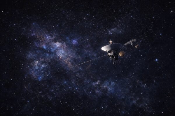 Кремниевый дарвинизм: почему дефицит является источником истинного интеллекта 2 214821a2658590bb6acded901fc28bbc