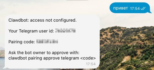 Clawdbot - Moltbot - OpenClaw - магия: честный гайд по приручению AI-ассистента 16 18-pairing-code.jpg