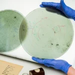 Асстрономические фотопластины, изучаемые в лаборатории: важные астрономические данные.