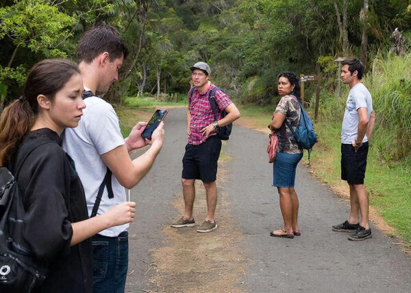 Группа людей в походе на лесной тропе, один из них смотрит в телефон.