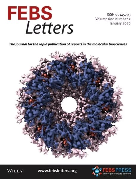 Расшифрована структура светособирающего комплекса серной бактерии 2 Обложка журнала FEBS Letters, объем 600, номер 2, январь 2026, молекулярная биология.