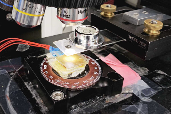 Два физика открывают для себя магию двух измерений. 8 Фотография, показывающая фокусное расстояние микроскопа.