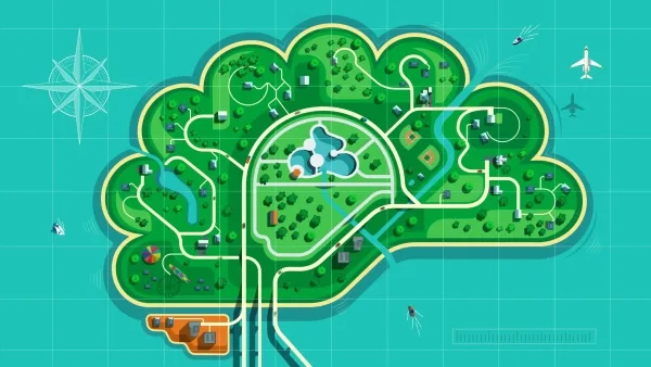 Иллюстрация мозга в виде острова с дорогами на карте, на фоне самолет и корабль.