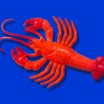 Красный пластиковый лобстер на синем фоне, игрушка, морская тематика, яркий контраст.