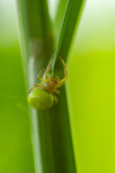 45b82c499e385ffbd894d04c14ac1188