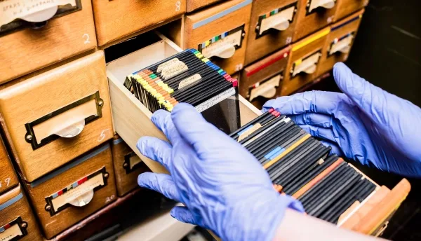 460942ead2f0ebc3cd55c5a1e7dfbab3