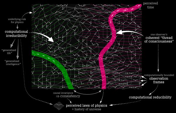 Потоки сознания Стивена Вольфрама
