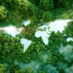 Форма континентов среди деревьев и озеро, вид с воздуха.