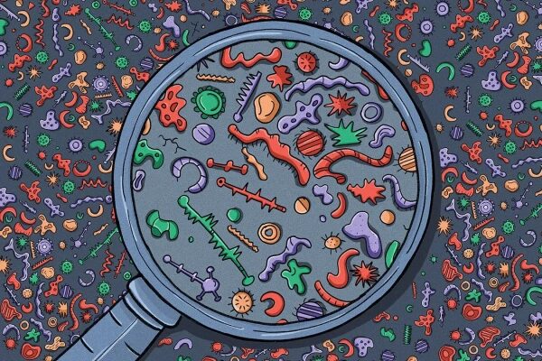 Гигантские вирусы могут быть более жизнеспособными, чем мы думали. 3 Совершенно новый мир крошечных существ бросает вызов фундаментальным представлениям о жизни.