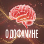 Изображение мозга и молекулы дофамина на фоне. Надпись: "О дофамине".