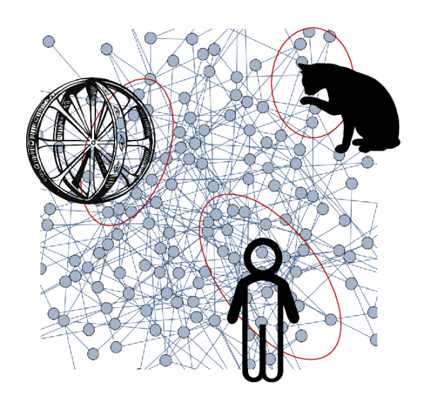 Каждый наблюдатель воспринимает определённый срез рулиады