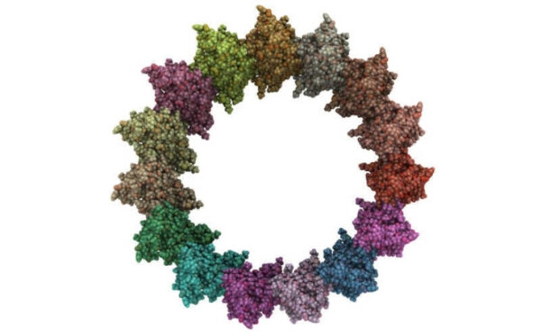 Цветная молекулярная структура в кольцеобразной форме на белом фоне.