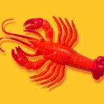 Резиновый красный лобстер на ярком жёлтом фоне, вид сверху.