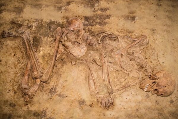 5d61241424e958c2cc97498fc9437b00