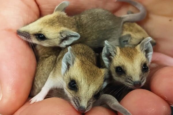 5eb32760cf922f543f64d3f5512d69a7