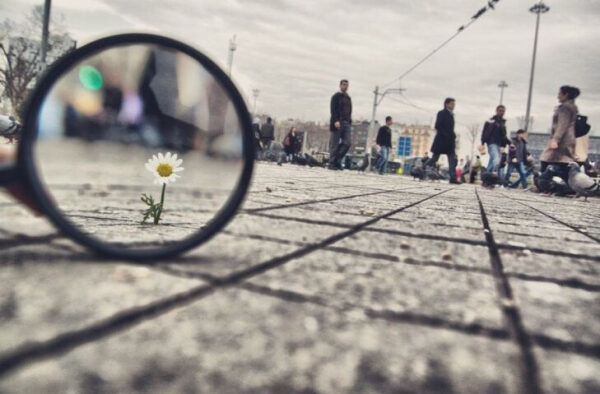 Лупа увеличивает цветок на тротуаре, люди проходят мимо.