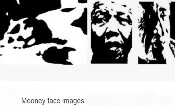 Черно-белое изображение в стиле рисовых масок с абстрактными узорами.