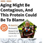 Статья о влиянии белка на старение с изображением человека в костюме супергероя.