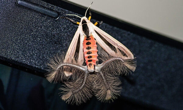 79d9689b2da39054c903646d02f49b49