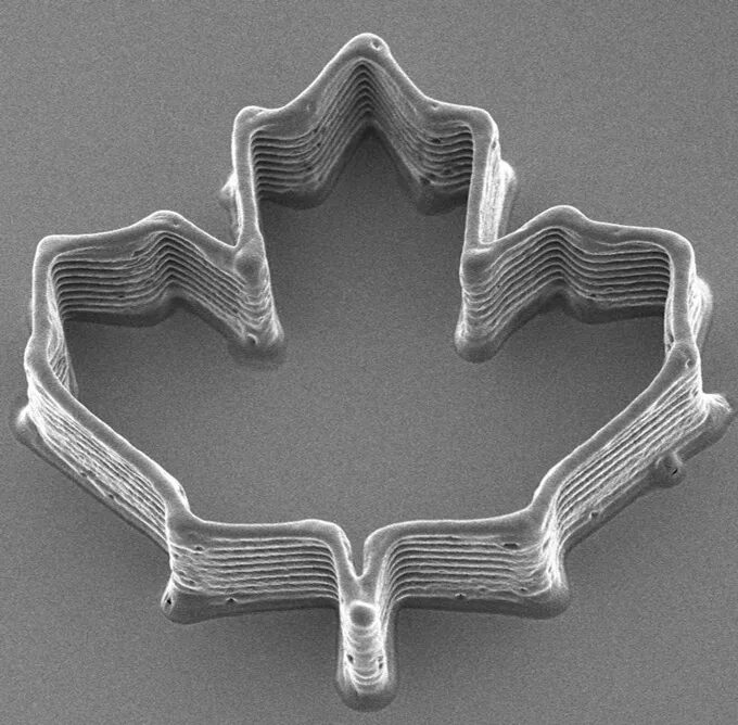 Крошечная многослойная трехмерная печатная структура в форме кленового листа покоится на гладкая поверхность.