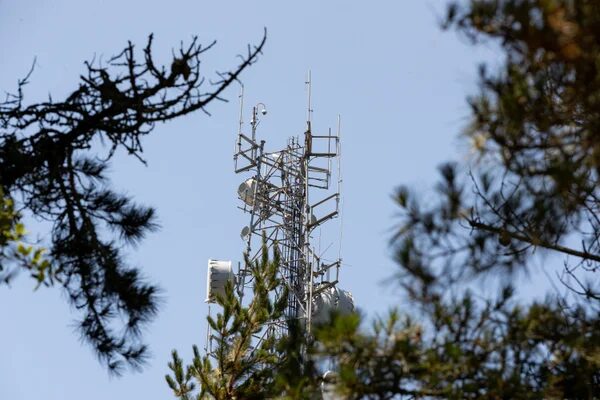 Мачта связи с антеннами среди деревьев на фоне голубого неба.