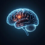 Изображение человеческого мозга с нейронными связями, светящиеся узоры.