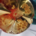 Лабораторные клетки в жидкости, использующие защитные перчатки, вид сверху.