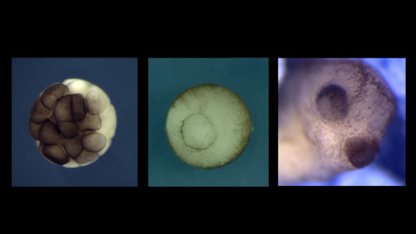 838e92fe534a6e4fbdd9eb175540a698