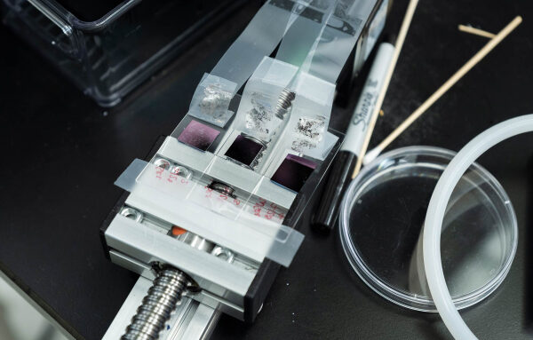 Два физика открывают для себя магию двух измерений. 9 На фотографии изображено приспособление, используемое для удержания двухмерных слоев кристаллов, прикрепленных к скотчу.