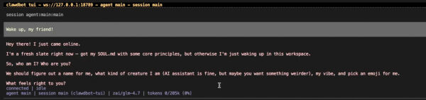 Clawdbot - Moltbot - OpenClaw - магия: честный гайд по приручению AI-ассистента 15 17-first-message.jpg