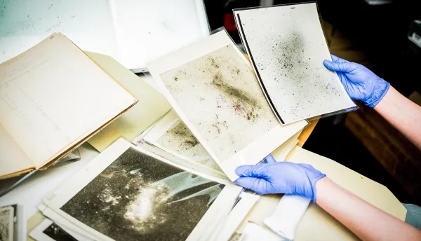 В руке в перчатке лежат два астрономических отпечатка над стопкой других отпечатков и журналом наблюдений.