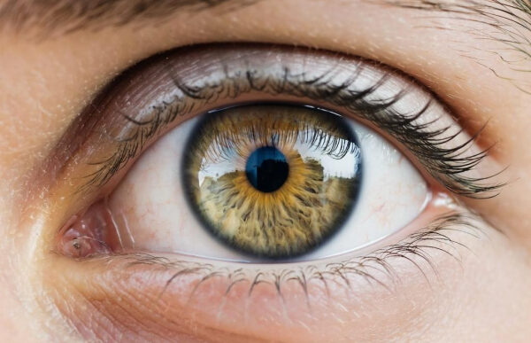 Карий глаз вблизи, фокус на радужке и ресницах, крупный план.